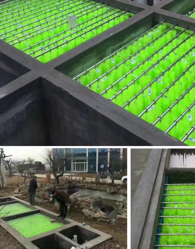 chổi lọc hồ koi