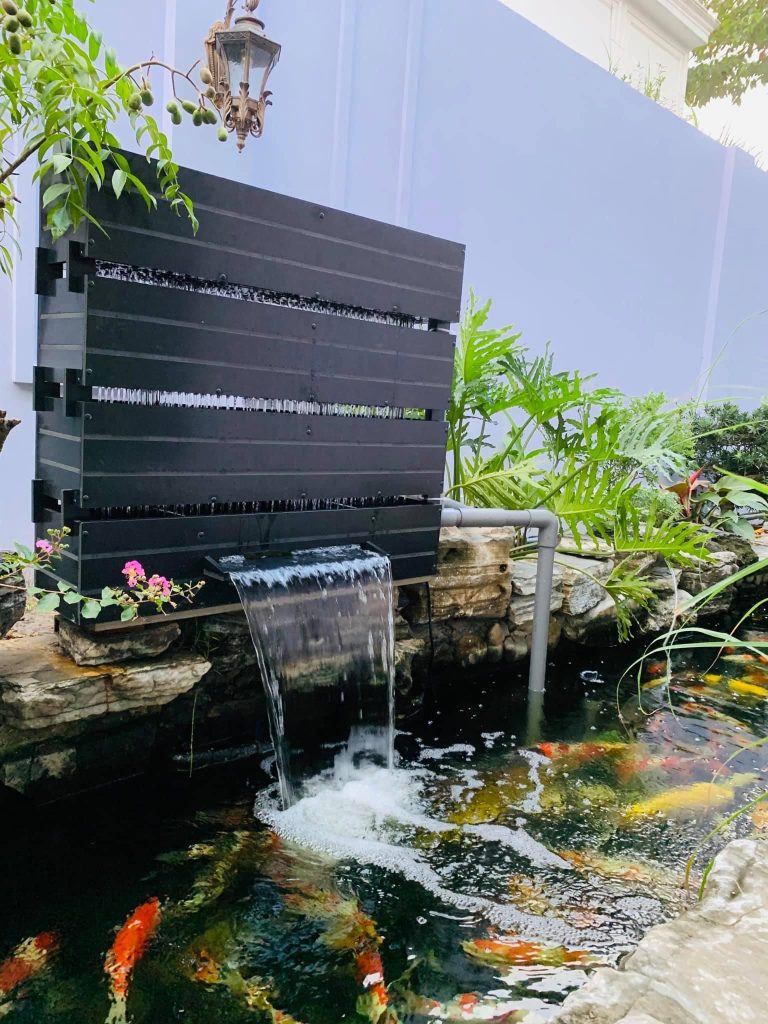 dàn mưa bakki trong hồ