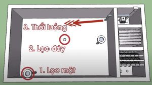 thông ngăn hồ koi